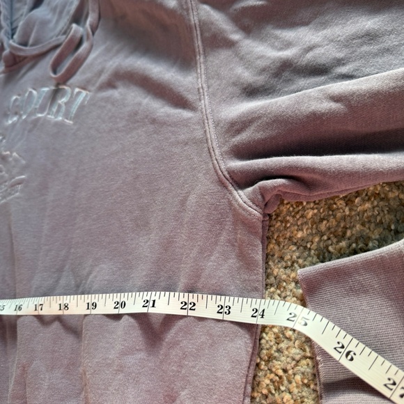 Enchanted Oddities ACOTAR hoodie - Picture 7 of 8